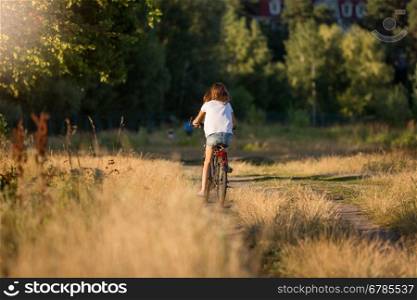 Toned image of young woman riding away on bicycle at meadow