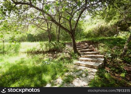 Toned photo of beautiful garden with trees and stone path