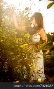 Toned photo of beautiful woman picking apples at garden