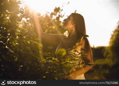 Toned photo of brunette woman picking apple from top of tree