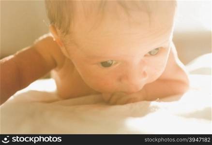 Toned portrait of cute newborn baby crawling on bed at sunny day