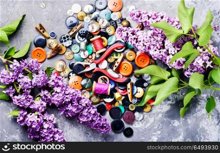 Tools for needlework lilac branch. Collection of various sewing button,threads and scissors.Sewing accessories