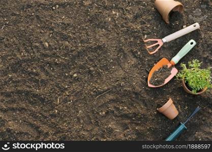 tools pots with plants soil. Resolution and high quality beautiful photo. tools pots with plants soil. High quality and resolution beautiful photo concept