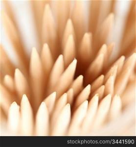 toothpick macro close up