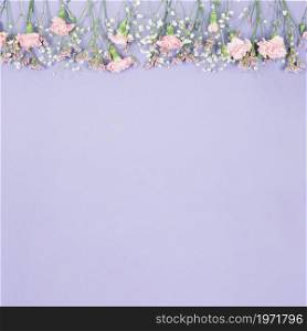 top border decorated limonium gypsophila carnations flowers purple backdrop. High resolution photo. top border decorated limonium gypsophila carnations flowers purple backdrop. High quality photo