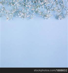 top border made with white baby s breath flowers blue background. Resolution and high quality beautiful photo. top border made with white baby s breath flowers blue background. High quality and resolution beautiful photo concept