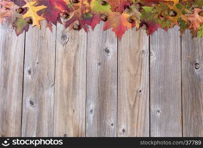 Top border of autumn foliage and acorns on rustic wood with plenty of copy space