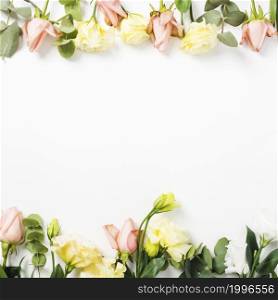 top bottom border made with flowers white background