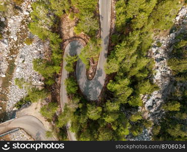 Top down view of road through forest at sunrise