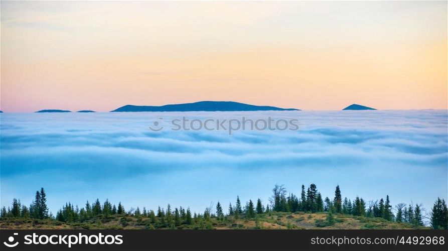 Top of the mountains in the clouds. Panorama with forest and sunset sky