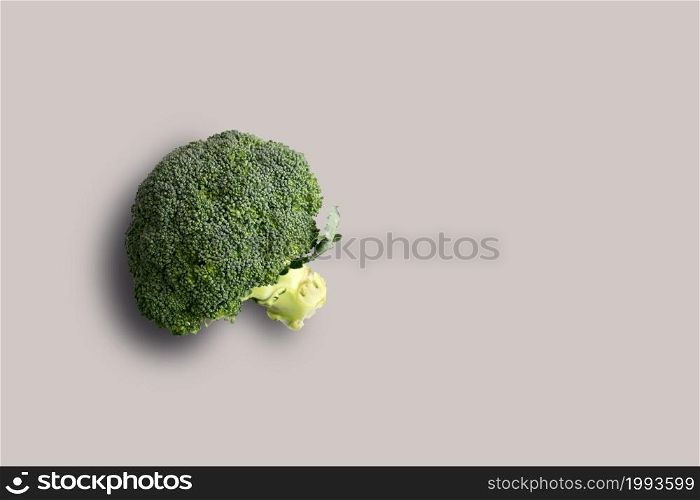 Top up up view fresh broccoli isolated on grey background. suitable for your design project.
