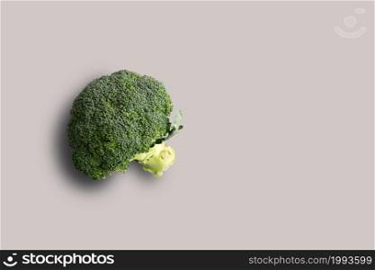 Top up up view fresh broccoli isolated on grey background. suitable for your design project.