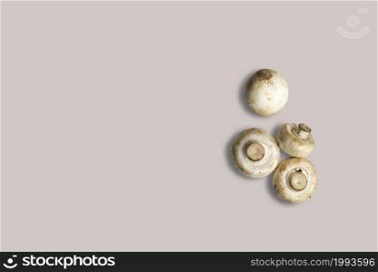 Top up up view fresh mushrooms isolated on grey background. suitable for your design project.