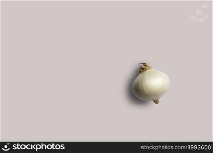 Top up up view fresh onion isolated on grey background. suitable for your design project.