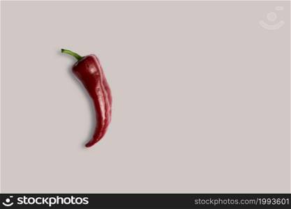 Top up up view fresh red chili isolated on grey background. suitable for your design project.
