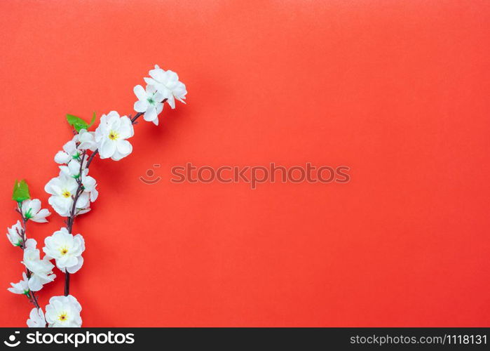 Top view aerial image shot of arrangement decoration Chinese new year & lunar new year holiday background concept.Flat lay white & pink cheery blossom on red paper backdrop.Copy space for design.