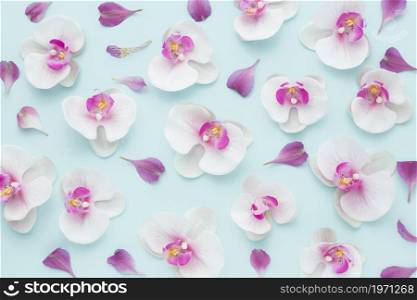 top view arrangement pink orchids. High resolution photo. top view arrangement pink orchids. High quality photo