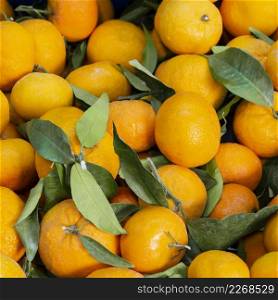 top view arrangement with tangerines