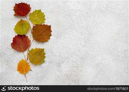 top view assortment autumn leaves. High resolution photo. top view assortment autumn leaves. High quality photo
