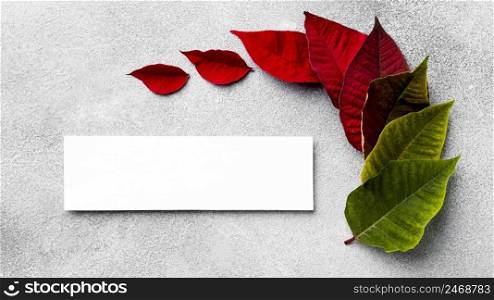 top view assortment colorful leaves with empty card