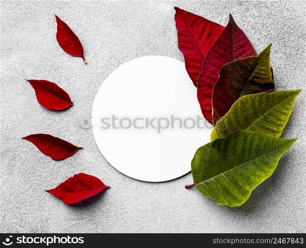top view assortment colorful leaves with round card
