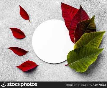 top view assortment colorful leaves with round card