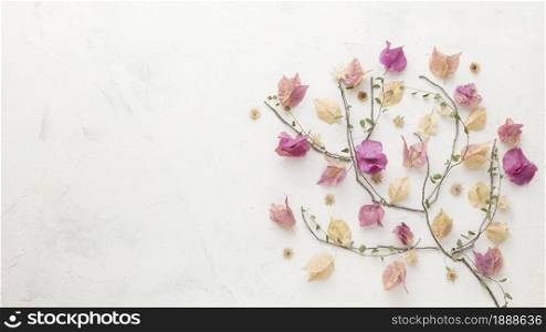 top view autumn flowers with copy space. Resolution and high quality beautiful photo. top view autumn flowers with copy space. High quality and resolution beautiful photo concept