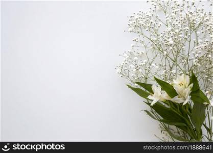 top view baby s breath white lilies flower white background. Resolution and high quality beautiful photo. top view baby s breath white lilies flower white background. High quality and resolution beautiful photo concept