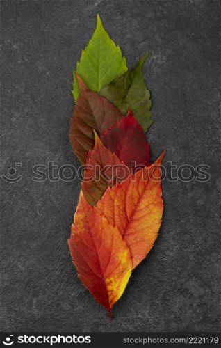 top view beautiful autumn leaves