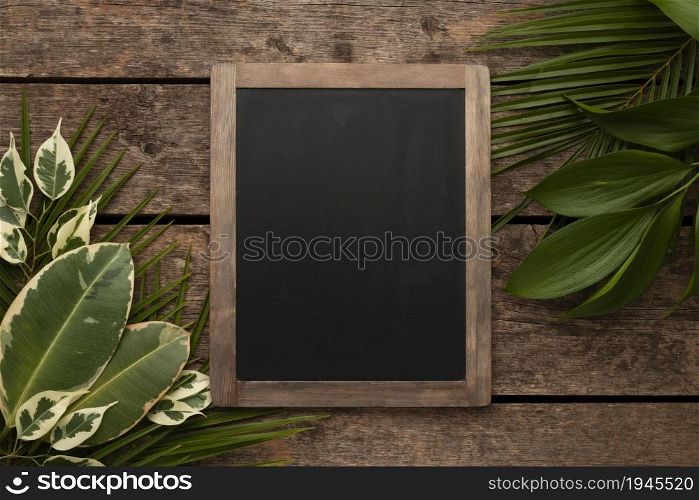 top view beautiful plant leaves with chalkboard. High resolution photo. top view beautiful plant leaves with chalkboard. High quality photo