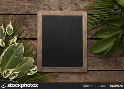 top view beautiful plant leaves with chalkboard. High resolution photo. top view beautiful plant leaves with chalkboard. High quality photo