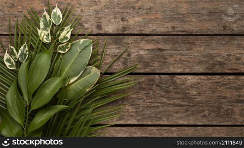 top view beautiful plant leaves wooden surface