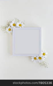 top view blank frame decorated with white daisy flowers white backdrop. Beautiful photo. top view blank frame decorated with white daisy flowers white backdrop