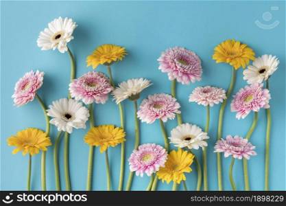 top view blooming flowers2. Resolution and high quality beautiful photo. top view blooming flowers2. High quality beautiful photo concept
