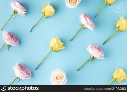 top view blooming roses 3. top view blooming roses 2