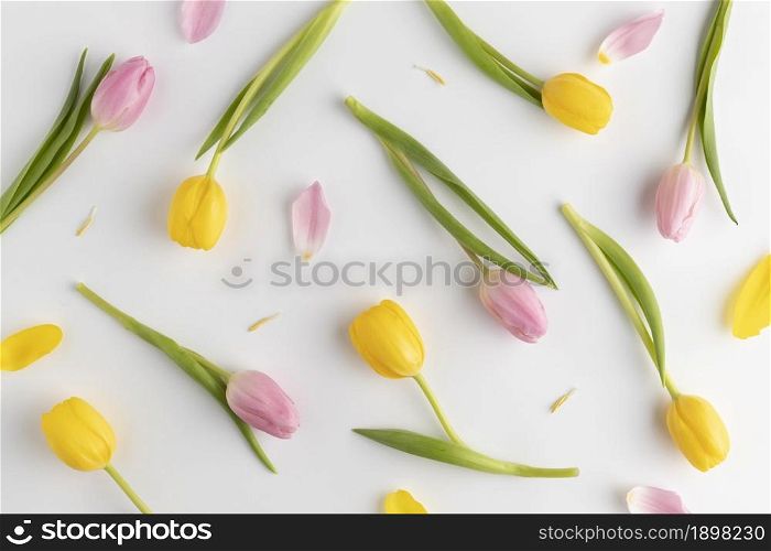 top view blooming tulips. Resolution and high quality beautiful photo. top view blooming tulips. High quality beautiful photo concept