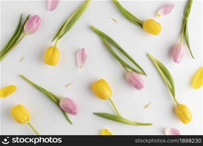 top view blooming tulips. Resolution and high quality beautiful photo. top view blooming tulips. High quality beautiful photo concept
