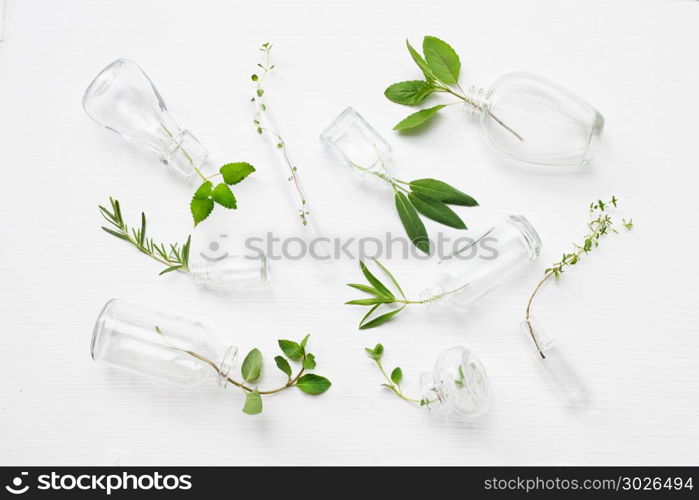 Top view, Bottle of essential oil with herbs sage, rosemary, or. Top view, Bottle of essential oil with herbs sage, rosemary, oregano, black mint, lemon balm, thyme, lemon thyme, tarragon and holy basil on white background.