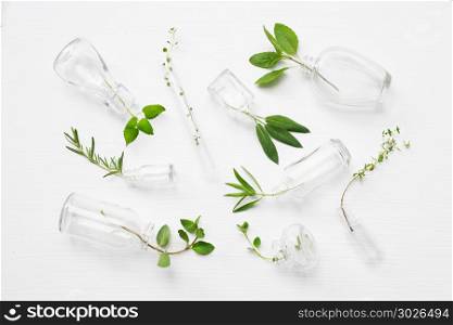 Top view, Bottle of essential oil with herbs sage, rosemary, or. Top view, Bottle of essential oil with herbs sage, rosemary, oregano, black mint, lemon balm, thyme, lemon thyme, tarragon and holy basil on white background.