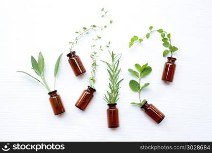 Top view, Bottle of essential oil with herbs sage, rosemary, oregano, mint, thyme and lemon thyme on white background.. Top view, Bottle of essential oil with herbs sage, rosemary, or