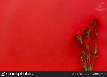 top view carnation flowers against bright red background with copy space. Resolution and high quality beautiful photo. top view carnation flowers against bright red background with copy space. High quality and resolution beautiful photo concept