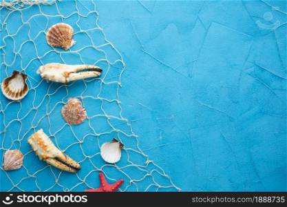 top view clams lobster fishnet. Resolution and high quality beautiful photo. top view clams lobster fishnet. High quality and resolution beautiful photo concept
