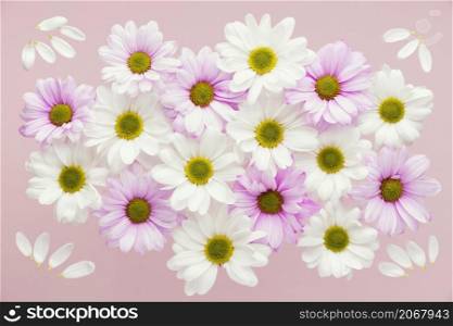 top view colorful spring daisies
