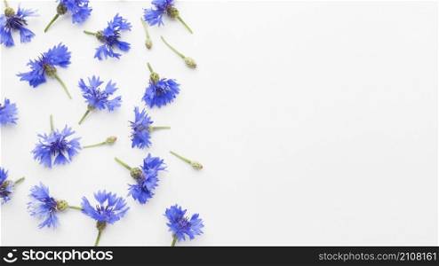 top view cornflowers with copy space