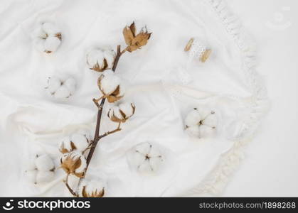 top view cotton flowers arrangement. Resolution and high quality beautiful photo. top view cotton flowers arrangement. High quality beautiful photo concept
