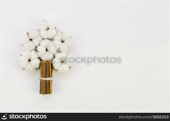 top view cotton flowers bouquet with copy space. Resolution and high quality beautiful photo. top view cotton flowers bouquet with copy space. High quality beautiful photo concept
