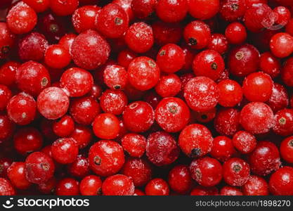 top view cranberries arrangement. Resolution and high quality beautiful photo. top view cranberries arrangement. High quality beautiful photo concept