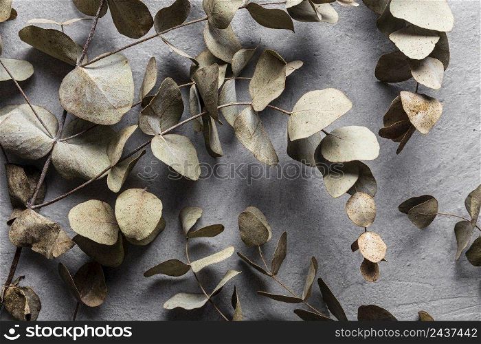 top view dry leaves