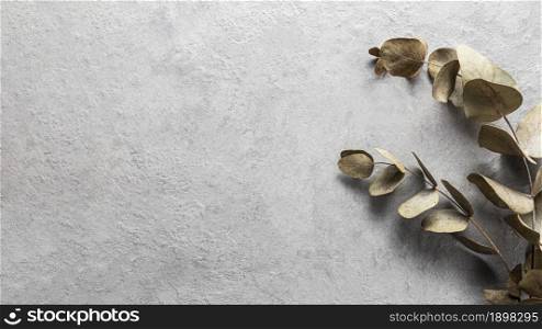 top view dry leaves with copy space2. Resolution and high quality beautiful photo. top view dry leaves with copy space2. High quality beautiful photo concept