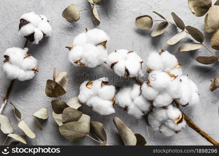 top view dry leaves with cotton. Resolution and high quality beautiful photo. top view dry leaves with cotton. High quality beautiful photo concept